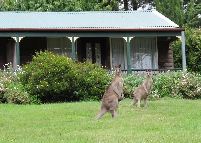 Cedar Lodge Cabins